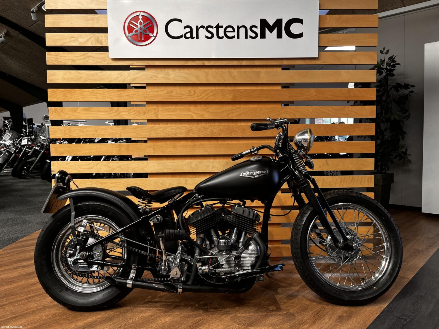 Harley-Davidson Custom Bike